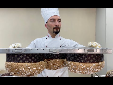 QUADRI demonstration video