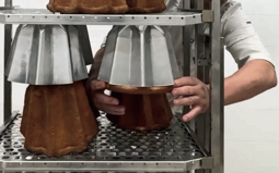 Girapandoro mould
